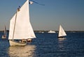 Skipjack Sailing on the Chesapeake Bay Royalty Free Stock Photo