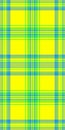 Skirt vector textile texture, package seamless pattern plaid. Geometric fabric check tartan background in yellow and green colors