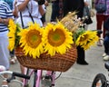 Skirtbike Constanta at `Ziua Iei ` - International Day of the Romanian Blouse at Constanta