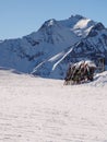 Skis at Mayrhofen slopes