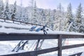 Skis and ski poles leaning against a fence