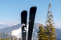 skis on snow hill mountain, winter alpine ski resort, extreme sport and winter mountain panoramic Royalty Free Stock Photo