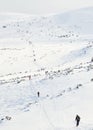 Skitouring group with mountain views in winter