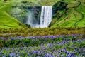 Skogafoss Waterfall in Iceland in Summer