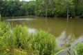 Skokie Lagoons along Bike Trail 701754