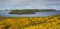 Skomer Island Pembrokeshire Wales UK Royalty Free Stock Photo