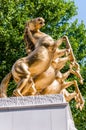 Golden horses standing on rear legs as a part of the monument Fallen Heroes of Macedonia, located in the Zena Borec park in Skopje