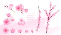 Vector Pink Cherry Blossom Collection Royalty Free Stock Photo