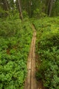 Skuleskogen national park