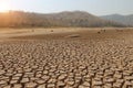 The drought land texture in Thailand. Skull animal on dry land Royalty Free Stock Photo