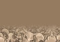 Skull background