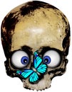 Skull with blue butterfly Royalty Free Stock Photo