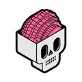 Skull with brain isometric style icon. Cranium with brains Vector illustration