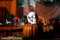 Skull with bug. Halloween party in living room with pumpkins, jack-o-lantern. Preparation Halloween holidays. Pumpkin