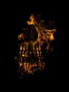 Skull Burning Digital Collage Illustration