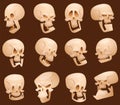 Skull cartoon faces vector illustration.