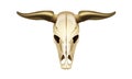 Skull of cow head, front view. Concept of wild west.