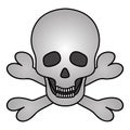 Skull and crossbones. Colored vector illustration. Pirate symbol. Jaw with straight teeth. Hollows instead of eyes and nose.