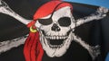 Skull and Crossbones Flag - Jolly Roger