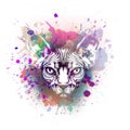 Sphynx cat in colorful paint splashes, paint splashes art design Royalty Free Stock Photo