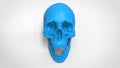 Skull 3d printed isolated , 3d render