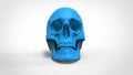 Skull 3d printed isolated , 3d render