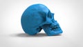 Skull 3d printed isolated , 3d render