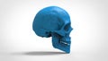 Skull 3d printed isolated , 3d render