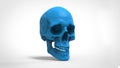 Skull 3d printed isolated , 3d render