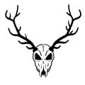 Skull of deer. Hunting trophy with horns. Antler of stag or reindeer. Scary black and white drawing for Halloween. Royalty Free Stock Photo