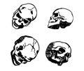 Skull in different positions hand drawing