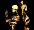 Skull Duo Royalty Free Stock Photo