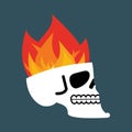 Skull fire. Head skeleton flame. flaming skull tattoo sign