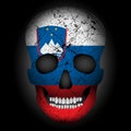 Skull flag Slovenia Royalty Free Stock Photo