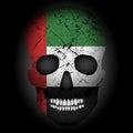 Skull flag UAE Royalty Free Stock Photo