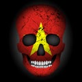 Skull flag Vietnam