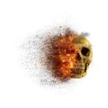 Skull flames Fire effect on white background