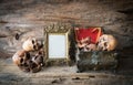 Skull and frame on wood background