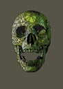 Skull front drawing in boho style with green color