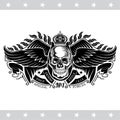 Skull front view with a lower jaw between two pair wings and ribbons. Vintage label isolated