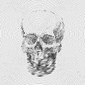 Skull full face from digital spiral lines on white background