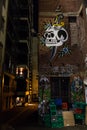 Skull Graffiti