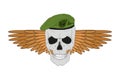 Skull in a green beret with wings