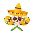 Mexico cinco de mayo Royalty Free Stock Photo