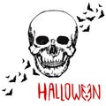 Skull head. Halloween background. Hand drawn