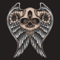 Skull horn Wing Vector illustration