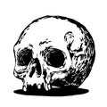 Scary black and white picture of a skull