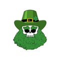 Skull of Leprechaun beard in Shamrock. Skeleton head. Holiday of Ireland. St.Patrick`s Day. Traditional Irish holiday