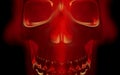 Skull looks up in colorful fire. Demonic sight. Scaring halloween picture