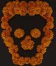 skull made with cempasÃÂºchil flower or flor de muerto mexico